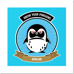 African Penguin - Know Your Penguins Posters and Art